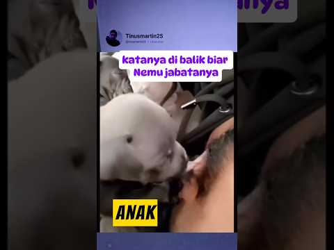 Ku ulang ulang baru Tau #funny #ngakak #comedy #lucu #memelucuiklan #shortsviral #shortvideos