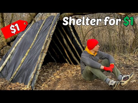 BUILT SHELTER FOR $1 - SOLO OVERNIGHT IN THE FOREST