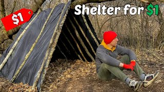 BUILT SHELTER FOR $1 - SOLO OVERNIGHT IN THE FOREST