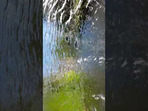 #Shorts Behind The Waterfall