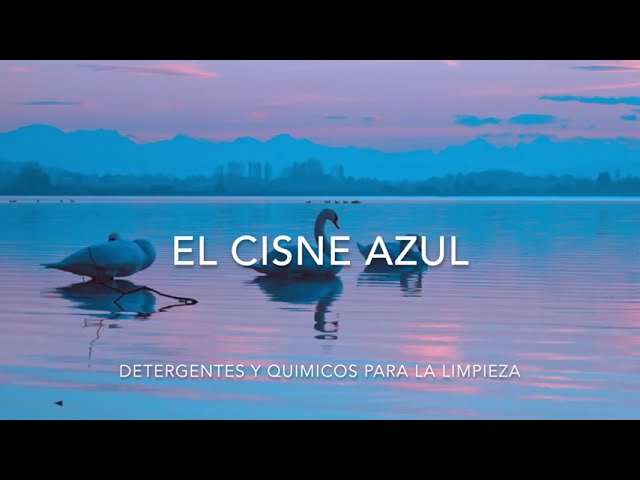 Video de empresa de El Cisne Azul