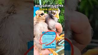 মাত্র ৩০টাকায় মুরগির ঠাণ্ডার মেডিসিন🔥 #short #shorts #marufanimalslover #youtubeshorts #murgi