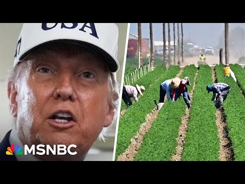 YouTube video thumbnail: 'Sold America's Farmers out': Soybean Farmer Blasts Trump