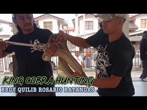3OVER SIZE COBRA SA BARANGAY QUILIB ROSARIO BATANGAS .