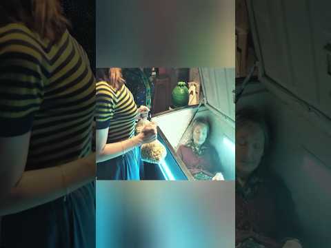 They Froze Their Grandma to Keep Getting Her Pension! #shorts #viral #movie