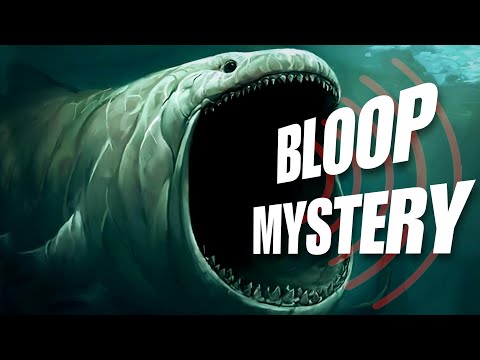 क्या हुआ जब 3219 km दूर से आई एक रहस्यमयी आवाज़ | Unsolved Mystery of Bloop