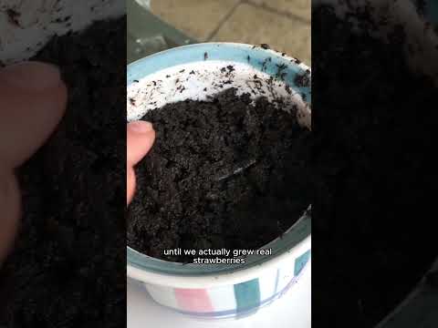 How I Turned 1 Red Strawberry Into 50 White Ones