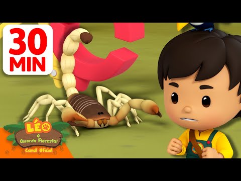 Fique de olho no escorpião venenoso! 🦂 | 30 Min | Leo, O Guarda Florestal | Animação
