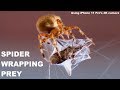 Understanding the Video Tutorial