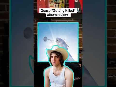 It’s not dudes rock time right now #geese #gettingkilled thumbnail
