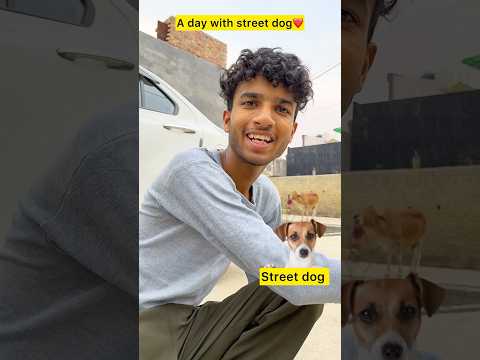 A day with street dog ❤️ part 3 #shorts #trending