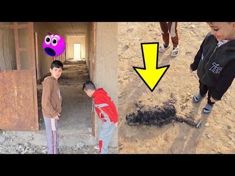وجدنا قطط 🐈 ميته من الكلاب🥵 داخل المدرسة المهجورة!!