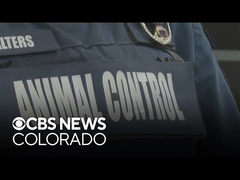 YouTube video thumbnail: Colorado Post Office Workers Urge Dog Owners to Keep Them Safe During Mail Delivery