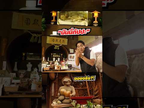 ทำไมคนญี่ปุ่นถึงบูชากัปปะ!!!