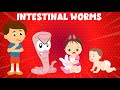 Intestinal Worms and Their Effects