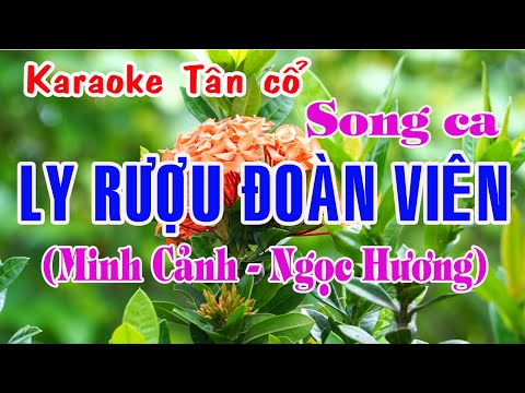 Karaoke tân cổ LY RƯỢU ĐOÀN VIÊN – SONG CA