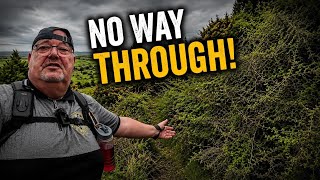 "I Couldn't Reach the Abandoned Cottages... Here's What Happened"