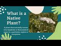 Identifying Invasive Plant Species