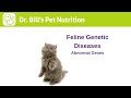 Genetic Health in Cat Breeds