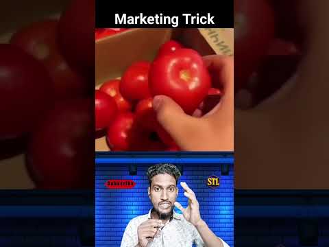 অল্প আলো কিভাবে রং বদলে দিতে পারে জানো? 😱 #viralvideo #youtubeshorts #trendingnow #samtheloser