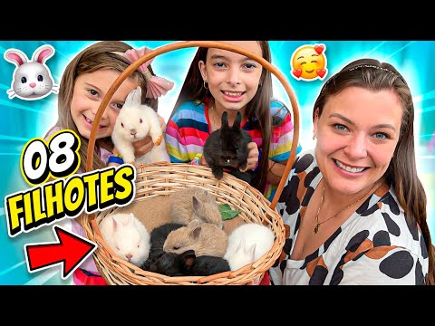 NASCERAM MUITOS FILHOTES DE COELHOS 😍 JÉSSICA GODAR E LAURINHA E HELENA E GABRIEL