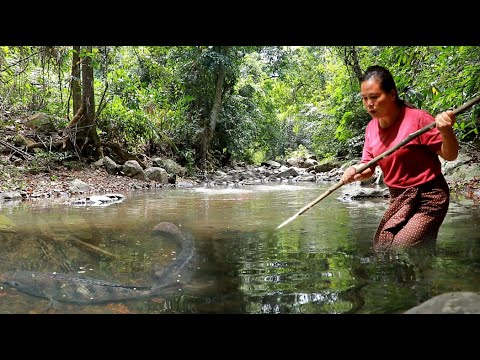 survival in the rainforest-woman found fishes garlic leaves at river for cook -Eating delicious HD