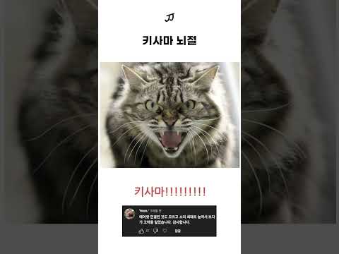 키사마 뇌절