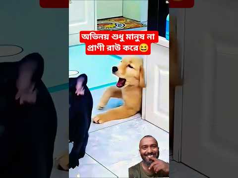 অভিনয় শুধু মানুষ না প্রাণী রাউ করে😆#shorts #comedy #funny #foryou #shortvideos