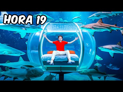 Viviendo 24 Horas En Un Acuario