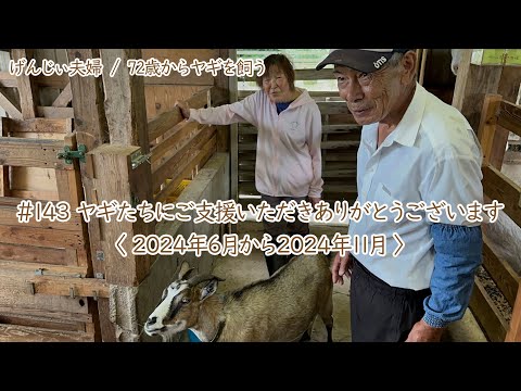 【79歳ヤギ飼い#6】ヤギたちのためにご支援いただきありがとうございます「72歳からの楽しいシニアライフ#143」