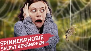 Spinnenphobie selbst bekämpfen | Spinne die dir helfen kann, deine Angst selbst zu besiegen!