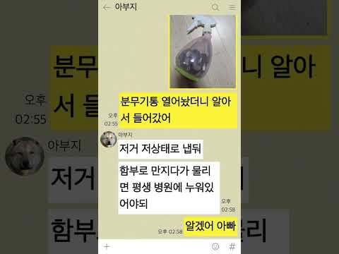 아빠 집에 뱀들어왓어!!!!