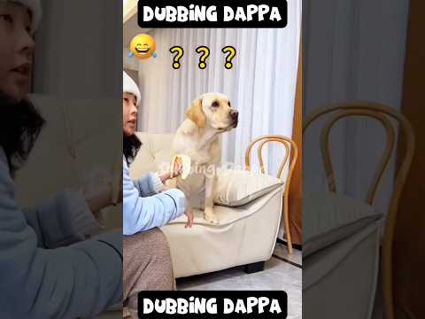 Funny Dog Mind Voice 🤣  #funny #shorts #dog #comedy #shortsfeed #funnyanimals #animals #petcomedy