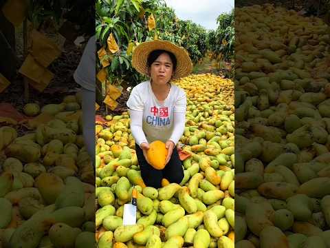 ๐ฑ ุธููู ู
ุงูุฌู ู
ุฒูููุงโฆ ูููู ูุงู ุงูุฃูุซุฑ ุนุตุงุฑุฉ! ๐ฅญ๐ฅ #shorts