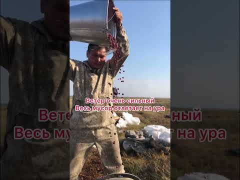 Урожайный сезон. Очень много клюквы 🫣 #жизньвлесу #природа #рыбалка
