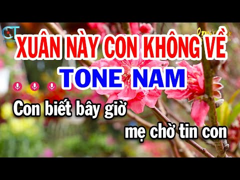 Karaoke Xuân Này Con Không Về Tone Nam ( D ) Nhạc Tết Mới | Karaoke Tuấn Kiệt