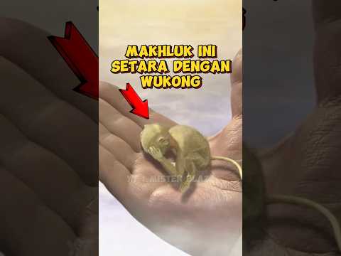 Makhluk Ini Setara Dengan Wukong ? Sun Wukong Minta Bantuan Buddha #blackmythwukong #wukong