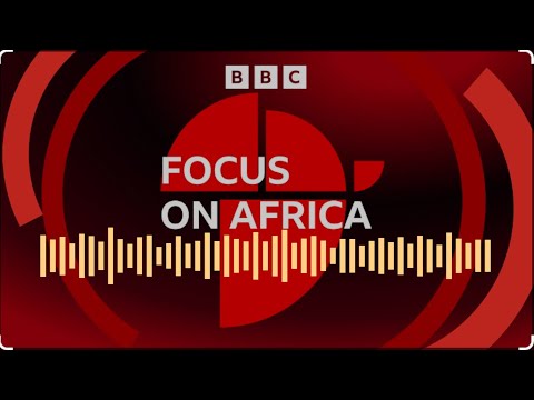 Why are Nigeria's rice farmers struggling? Focus On Africa Podcast