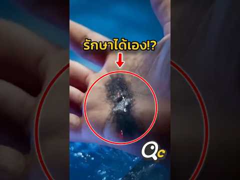 เทคโนโลยีนี้กำลังเป็นจริง!!