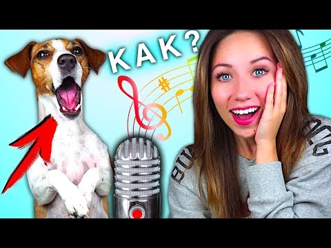 МОЯ СОБАКА ПОЁТ КАК НАУЧИТЬ СОБАКУ ПЕТЬ - дрессировка собак | Elli Di Pets