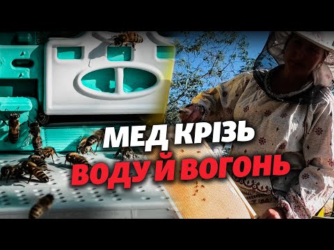 ❗️ «Наша ХЕРСОНЩИНА, як бджілки, ВІДБУДУЄТЬСЯ»: історія пасічників, які пережили КАТАСТРОФУ ГЕС