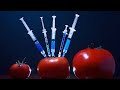 Genetic Engineering in Agriculture