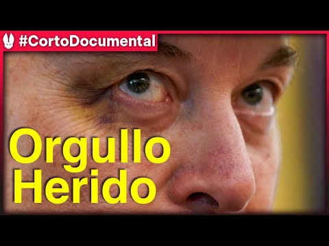 Auge y Caída de Elon Musk en Washington