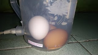 Cook eggs using an electric kettle