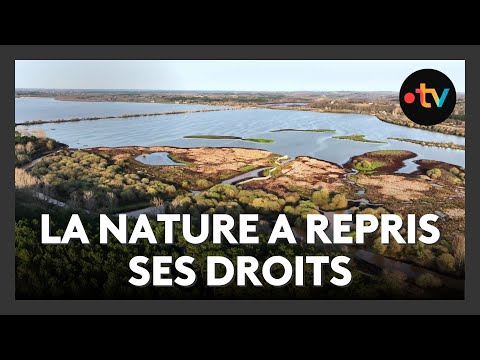Marais d'Orx : joyau naturel du Sud des Landes, entre biodiversité et renaissance écologique