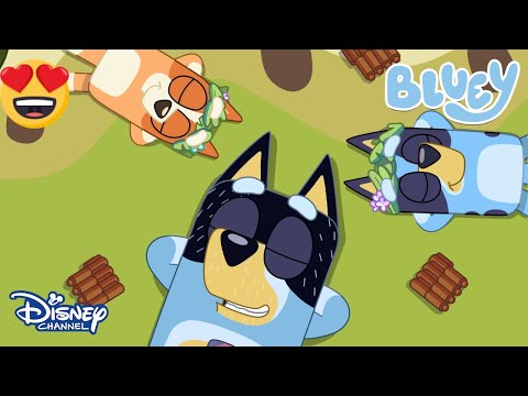 Eğlenceli Yaz Anları 😍| Bluey | Disney Channel TR