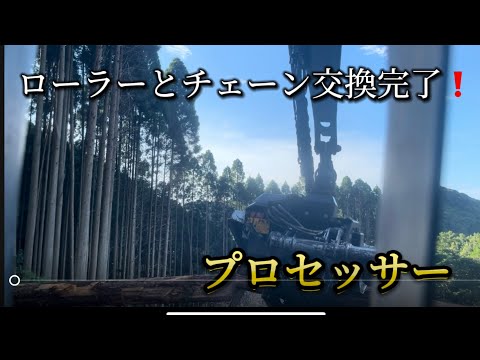 【修理完了❗️】ローラーとチェーン交換したプロセッサーで造材してみた