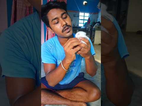 চোখগুলো বন্ধ হয়ে আসছে