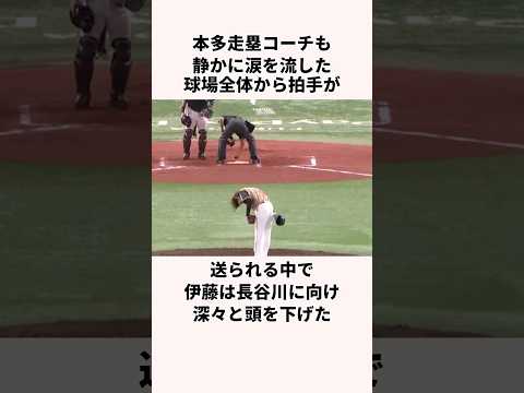 「相手ベンチに頭を下げた」伊藤大海に関する雑学　#野球 #福岡ソフトバンクホークス  #北海道日本ハムファイターズ