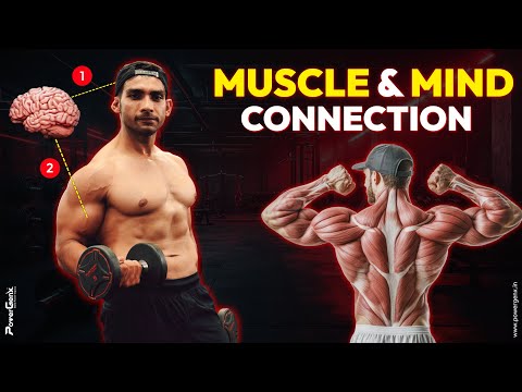 Mind Muscle Connection Explained | Muscle Building